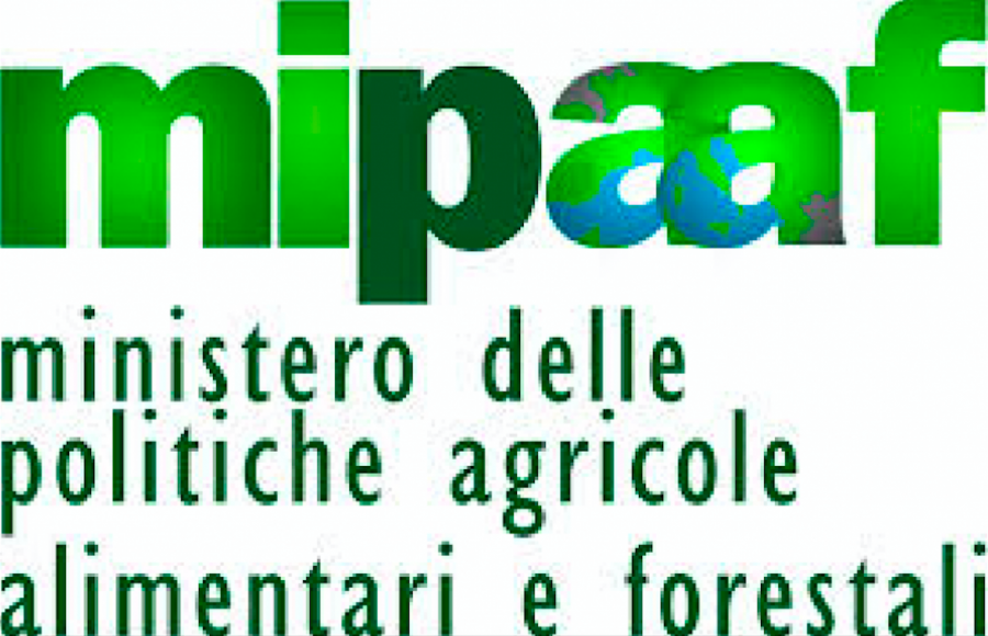 L’rti di Fpa con Kitchen vince la gara da 700.000 euro del Mipaaf per le attività di comunicazione del PO Feamp 2014/20