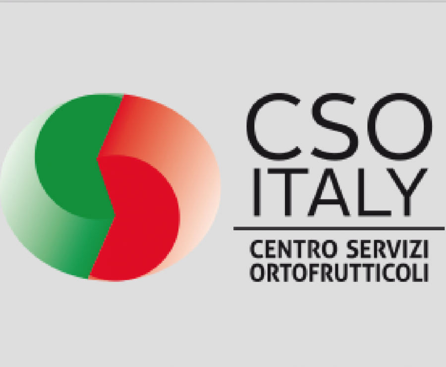 CSO Italy ha emesso tre bandi promozionali per prodotti ortofrutticoli. Il valore complessivo degli incarichi è attestato oltre 5 milioni di euro