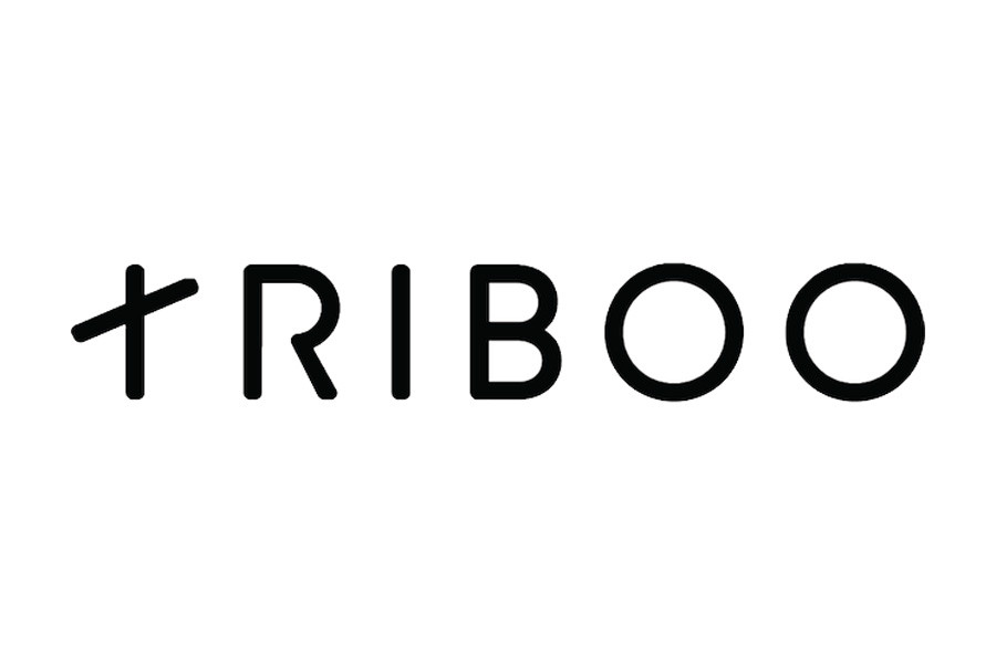 Triboo: per il 2019 attesi ricavi per 85 milioni; nel 2018 i dati preconsuntivi indicano un fatturato di 68,8 milioni