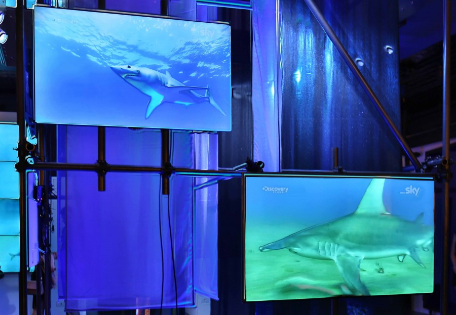 Paul&Shark festeggia il quarantesimo con Discovery Channel