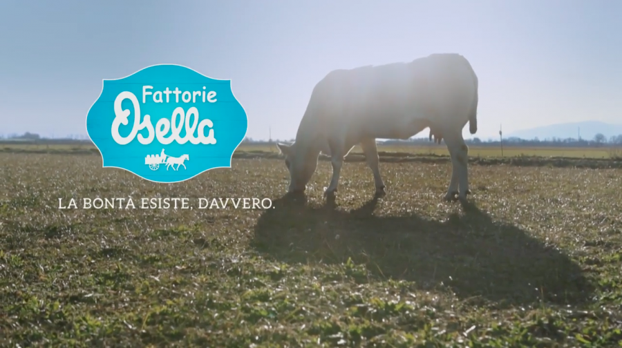 La voce degli allevatori nel nuovo spot ideato da JWT per Fattorie Osella