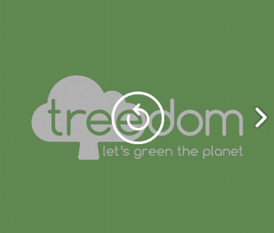 Treedom lancia campagna per San Valentino con quattro diverse specie di alberi all’insegna dell’amore e un video