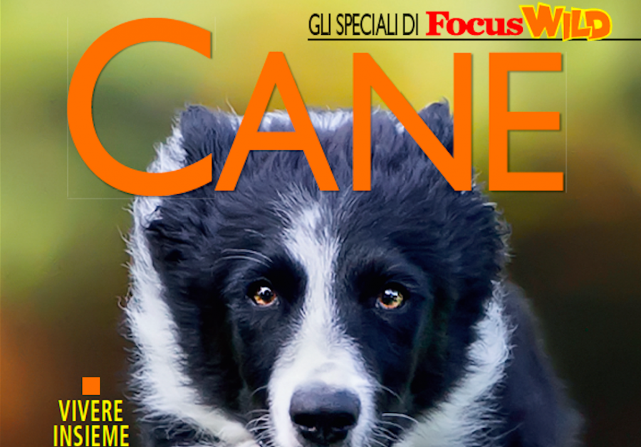 Focus Wild arriva nelle edicole con un numero speciale interamente dedicato ai cani