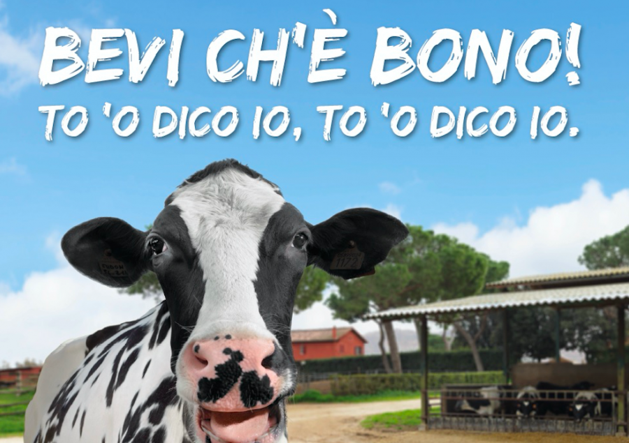 Filiera latte del Lazio con Stylum per la prima campagna unitaria volta alla promozione di prodotti lattiero caseari