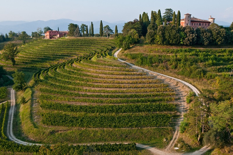 Nasce La Strada del Vino e dei Sapori del Friuli Venezia Giulia; la tradizione dal mare alla montagna