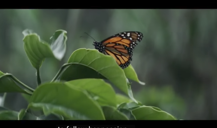 Nespresso, nuova campagna globale di JWT dedicata alla produzione sostenibile