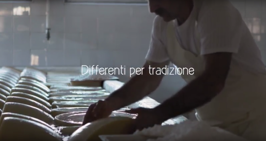 Tribe firma il video corporate globale dedicato a Parmigiano Reggiano