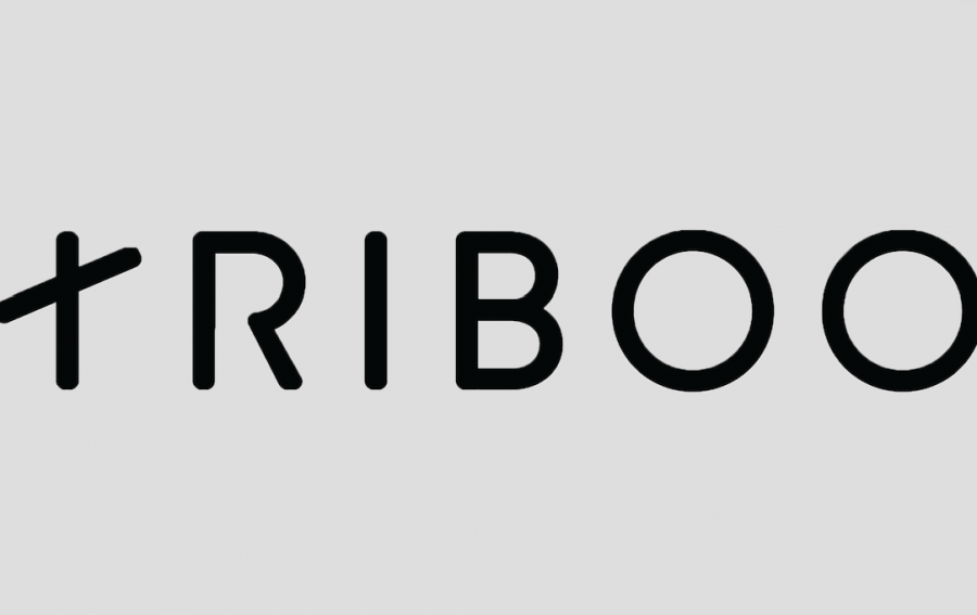 Nasce Triboo Audio: concessionaria dedicata alle digital radio