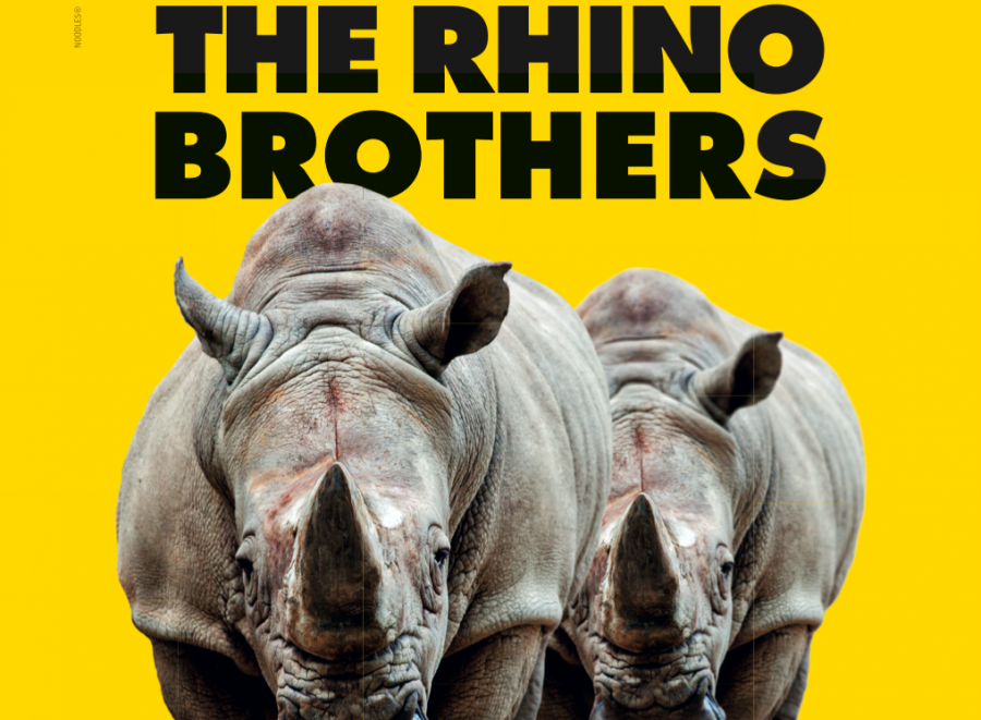 Zoom Torino in tv e OOH con Adventure Media e Noodles Comunicazione per The Rhino Brothers