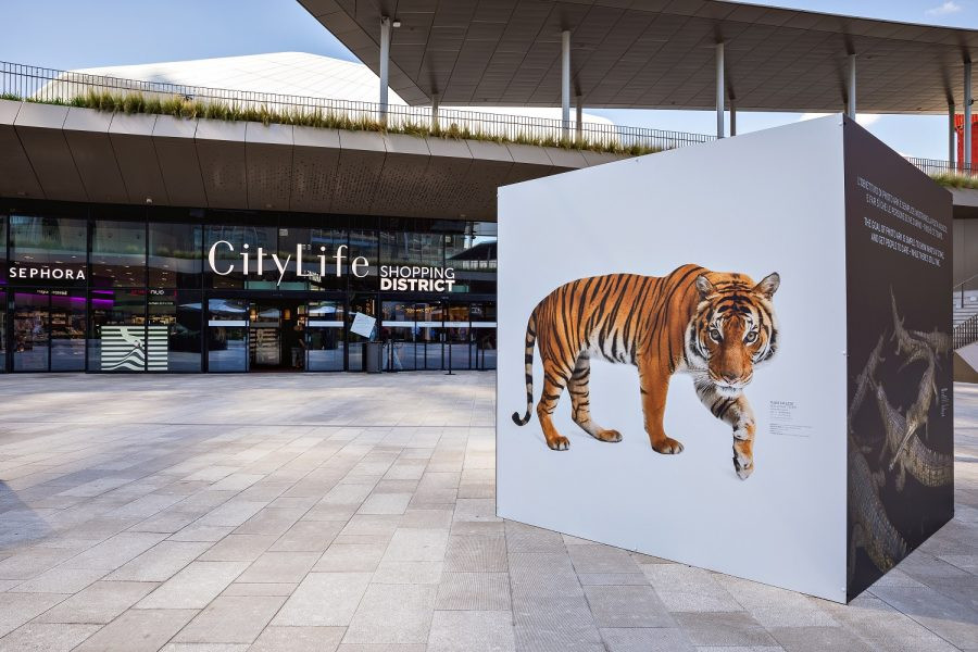 “PhotoArk”: a Milano in mostra il fotografo di National Geographic, Joel Sartore