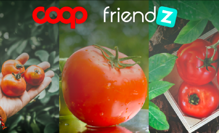 Friendz dà vita alla passata  di pomodoro più lunga d’Italia per Coop