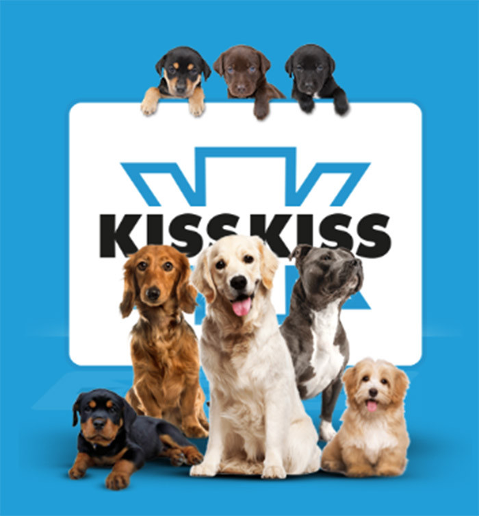 Radio Kiss Kiss: un impegno costante per il benessere degli animali