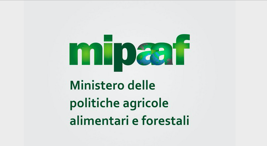 Mipaaft: a OCMGroup e Qubit l’aggiudicazione provvisoria del bando da 2,1 milioni per la comunicazione del Programma di Sviluppo Rurale